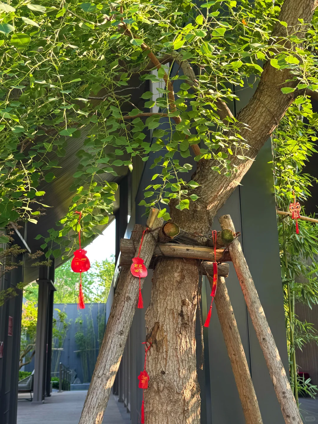 淄博受邀来参观这座宋式山水园林。。。