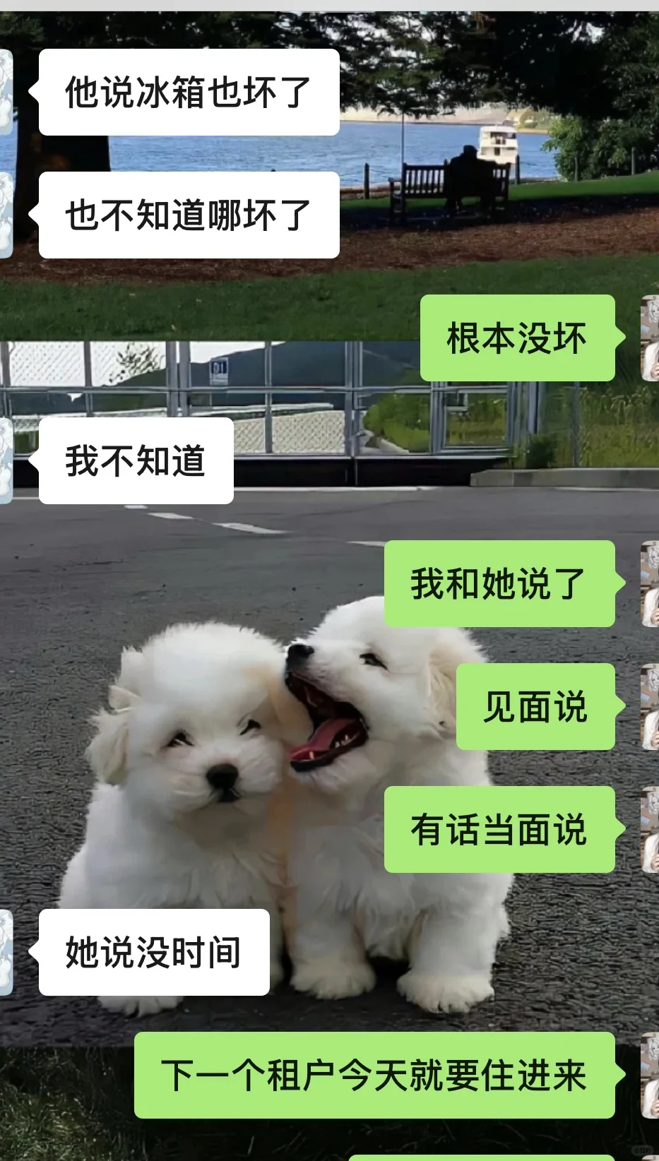 避雷邢台中介公司
