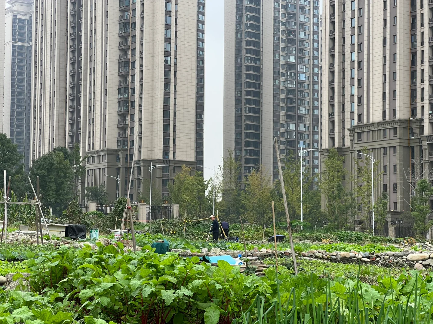 提醒：不要买房！