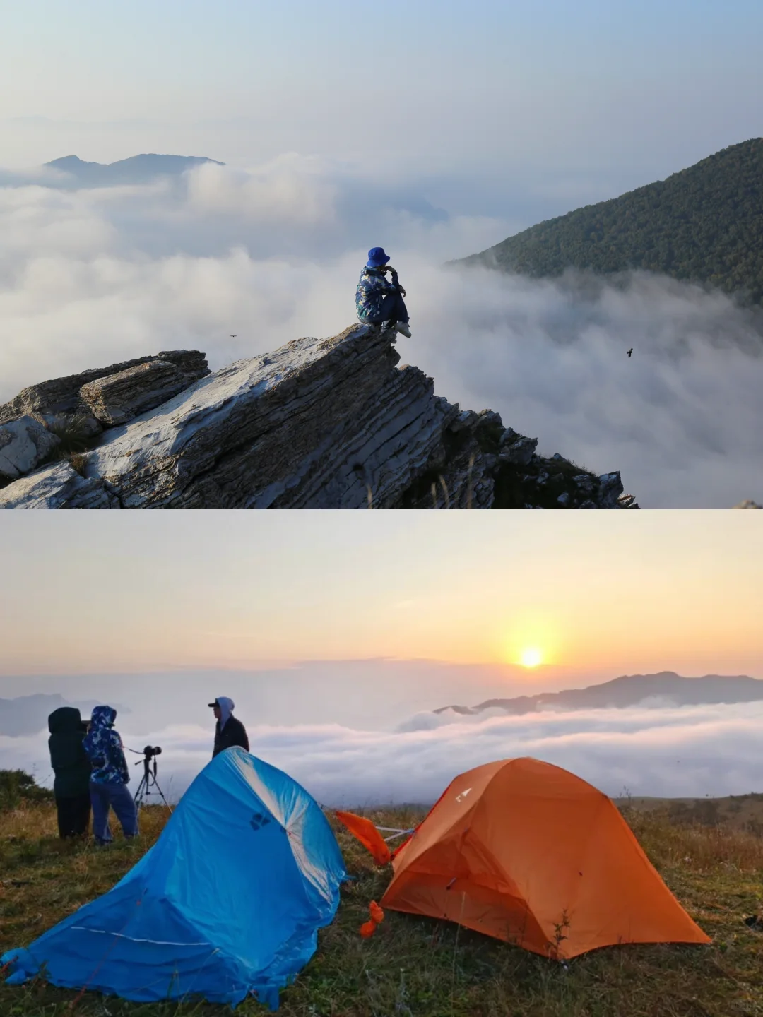 我那五星豪宅外的风景们😎