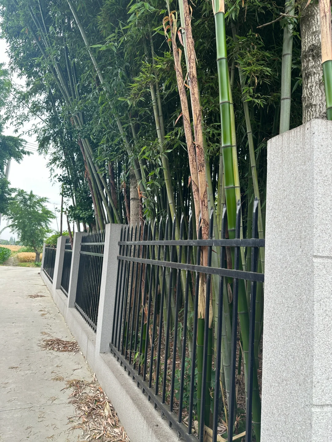 这辈子最不后悔打造了一个小院(附图纸)
