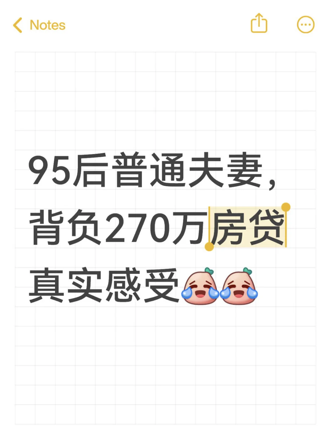 95后普通夫妻背负270万房贷真实感受