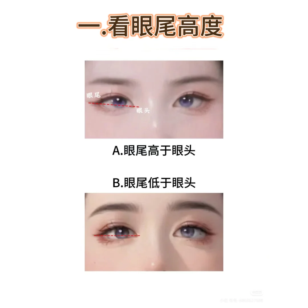 4步判断你是哪种眼型❗附天菜动物系眼妆✅