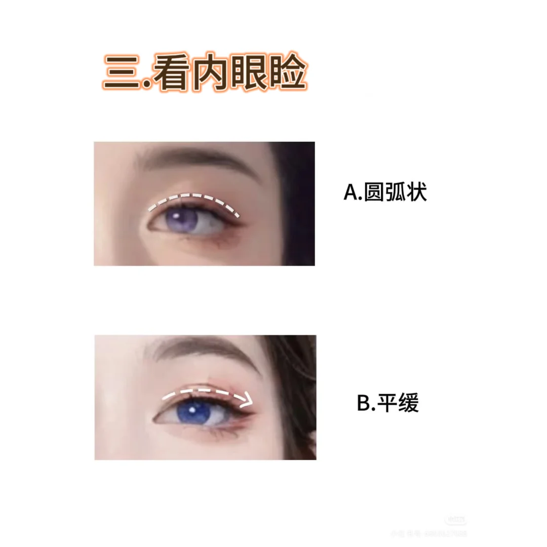 4步判断你是哪种眼型❗附天菜动物系眼妆✅