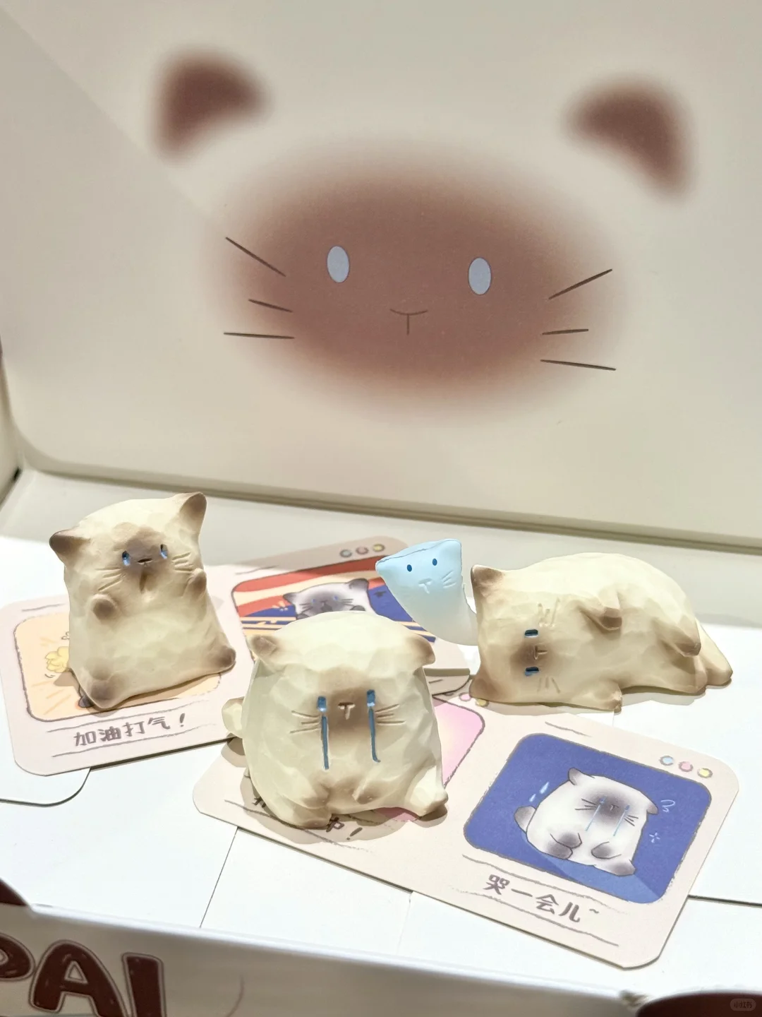 媚眼抛给瞎子看的无奈感…🥺