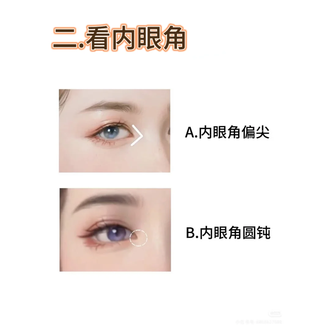 4步判断你是哪种眼型❗附天菜动物系眼妆✅