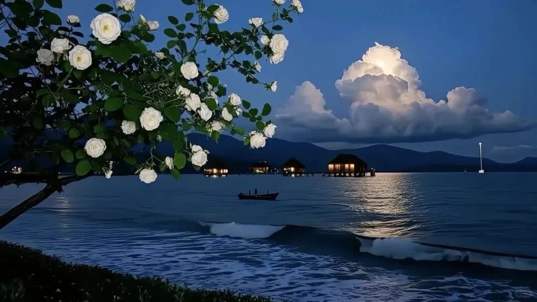 该换电脑壁纸啦