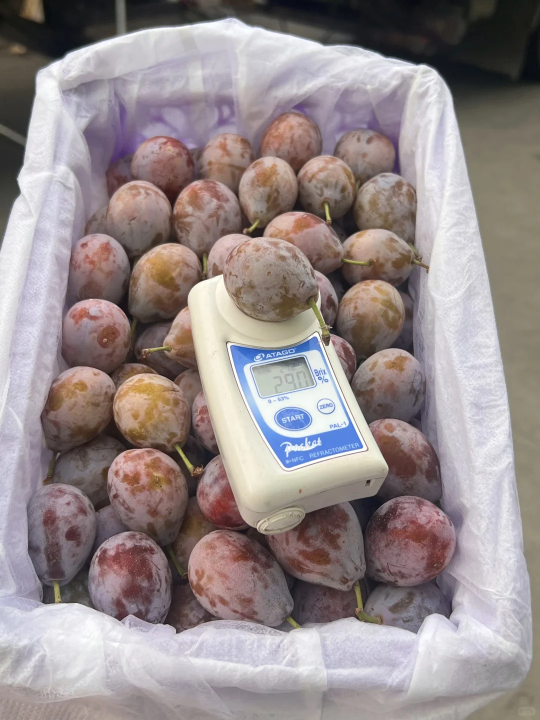 关于我在乡镇开了一个团购店