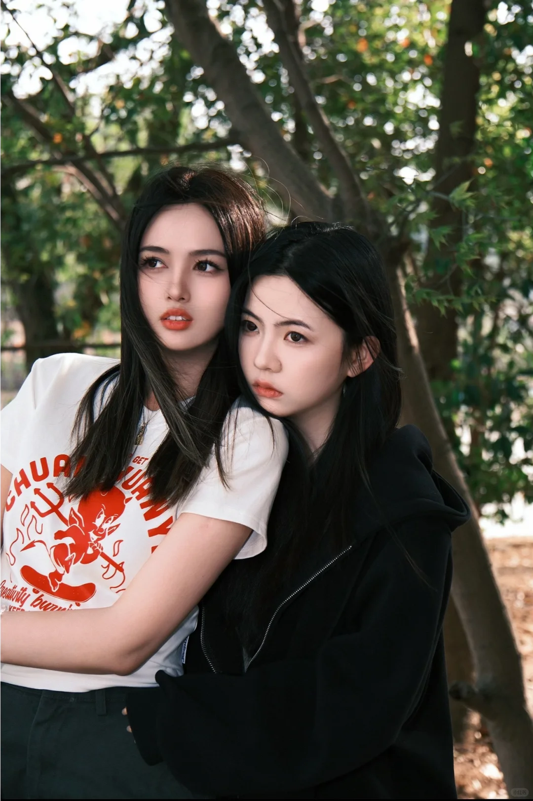 I’m sorry 我不是坏啦啦