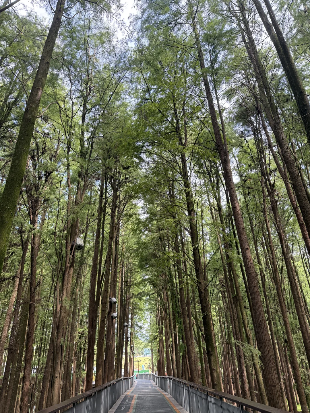 杭州租房2.8k，青山湖租房生活居住攻略。