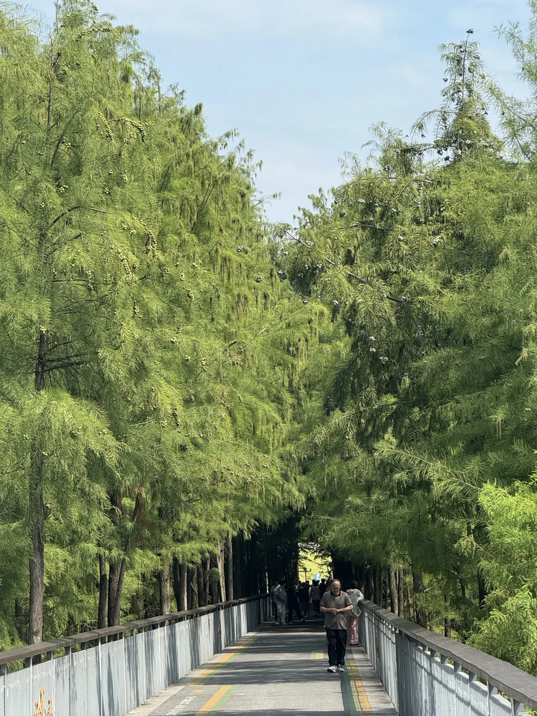 杭州租房2.8k，青山湖租房生活居住攻略。