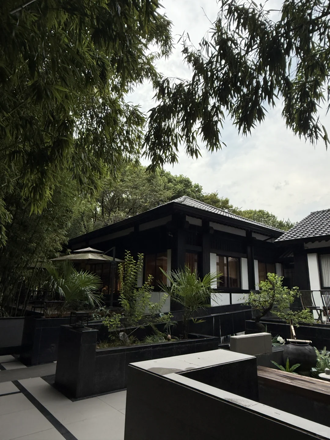 与谁同坐 明月清风我🍃