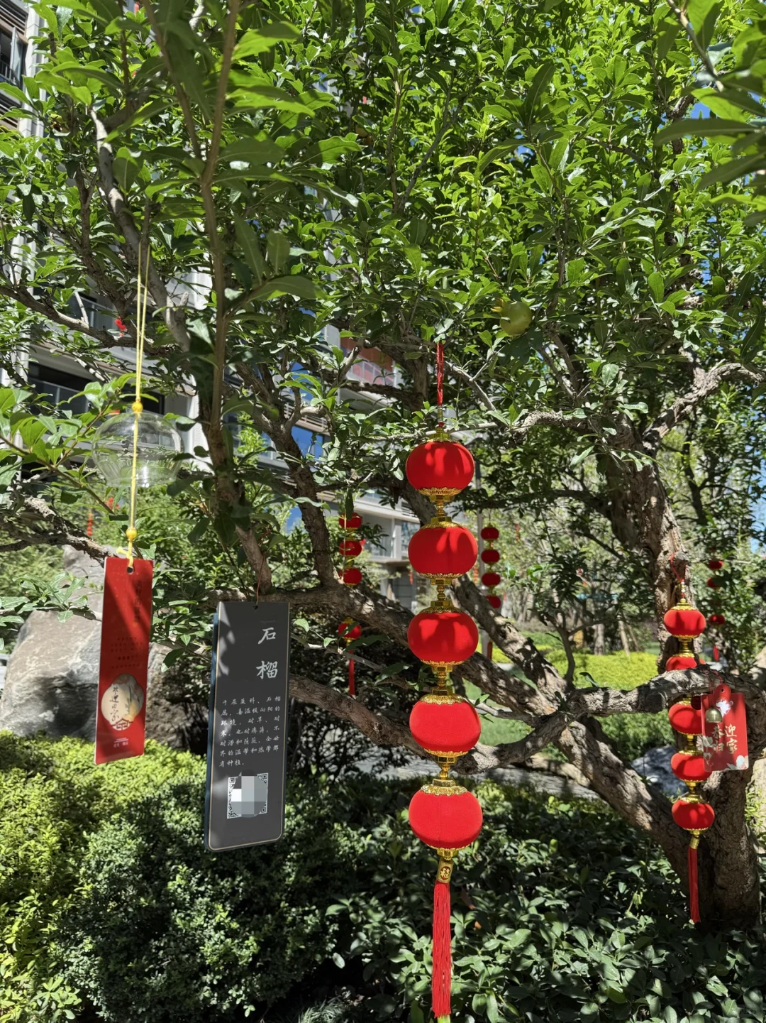 南昌建发朗云值得买吗？？