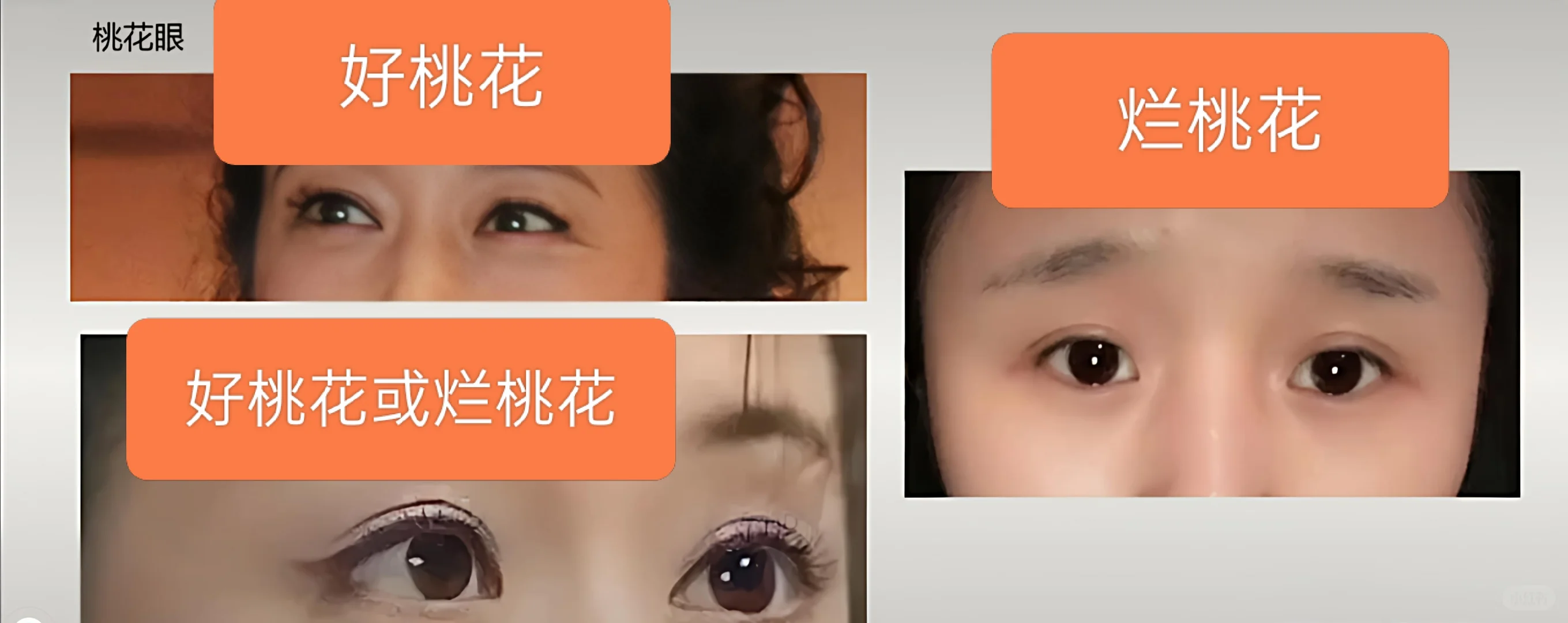 女生桃花眼的看法