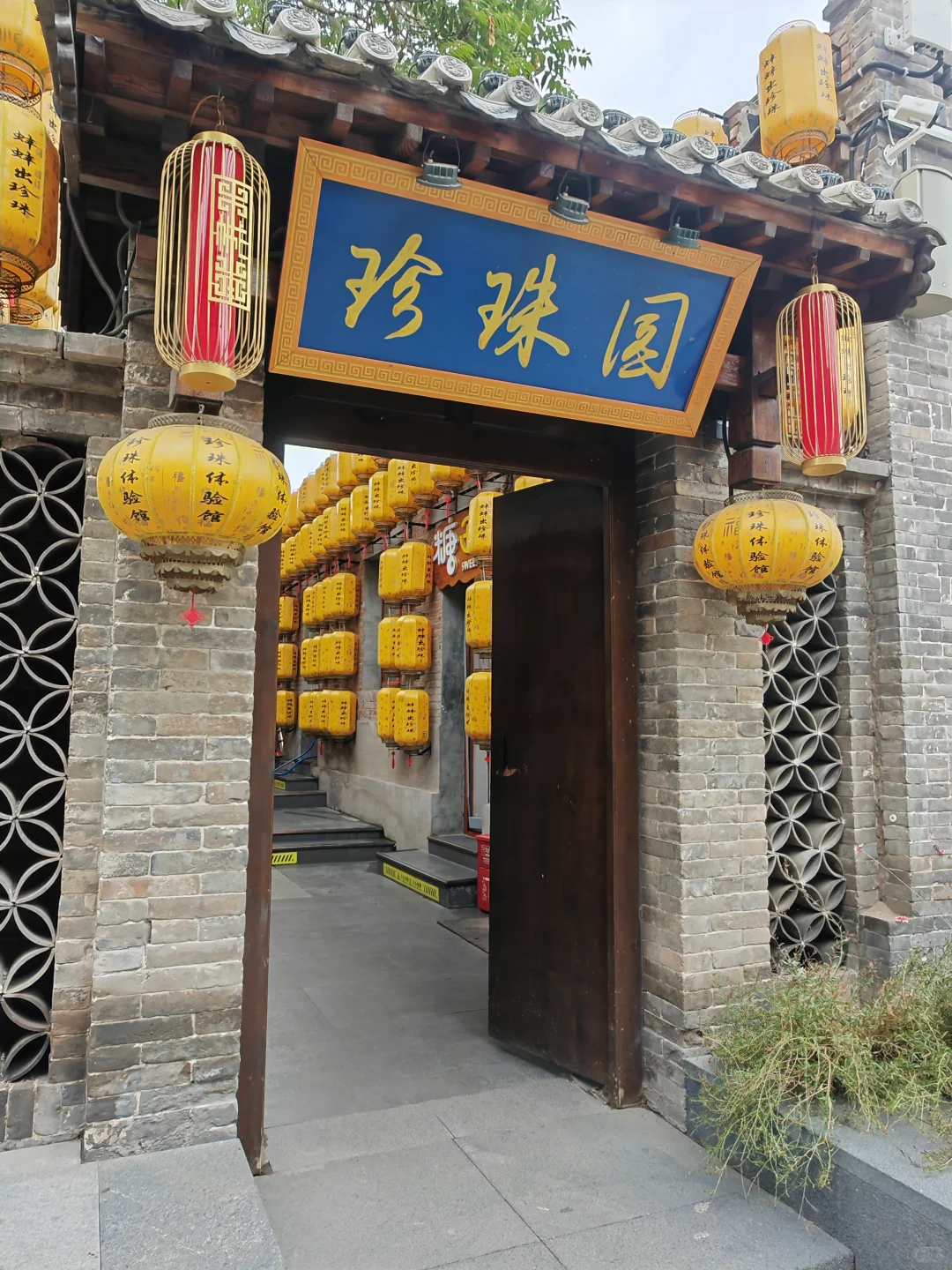 邯郸DAY2｜邯郸道