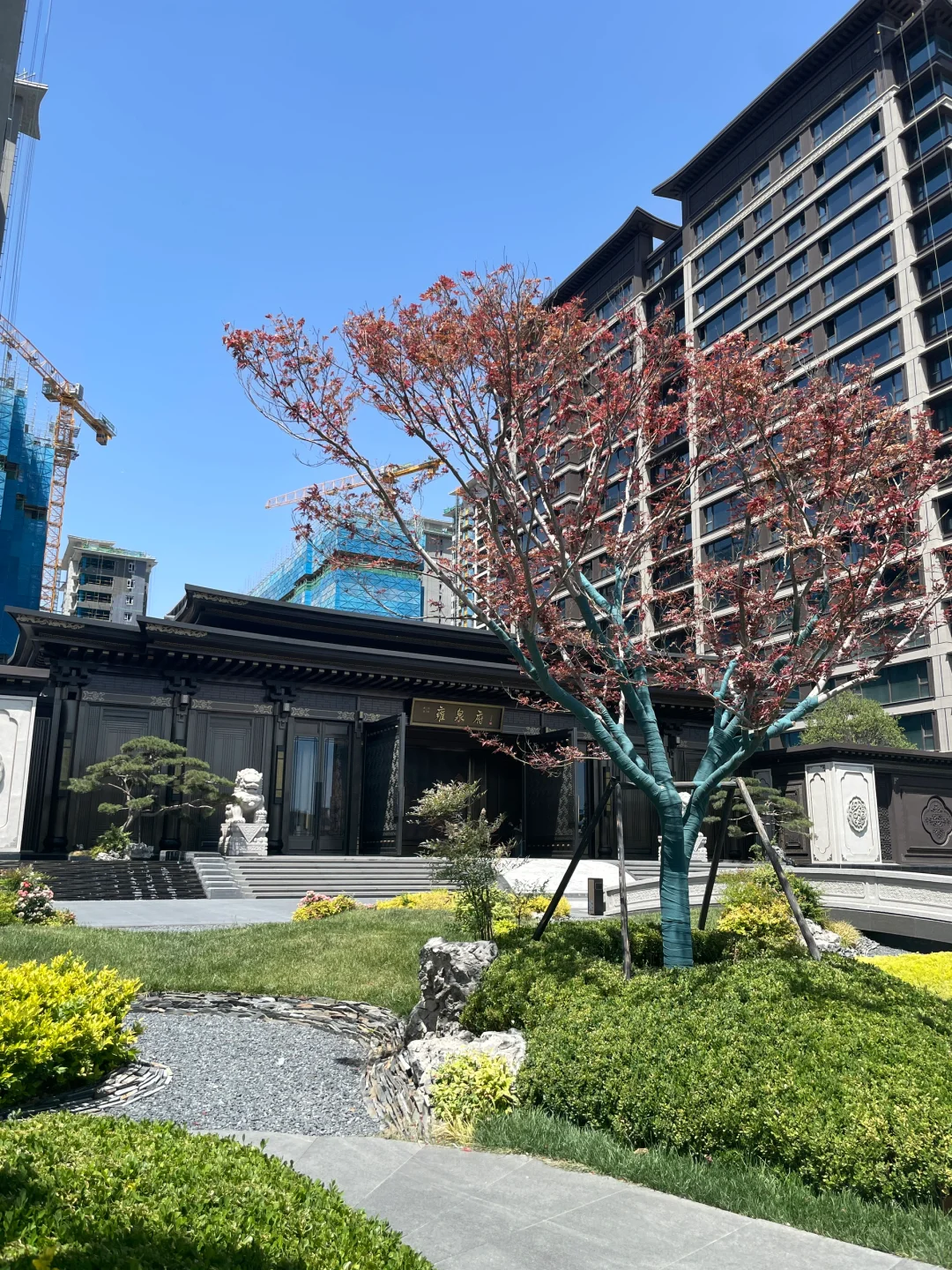 此后，万家灯火终于有属于我的一盏🏮
