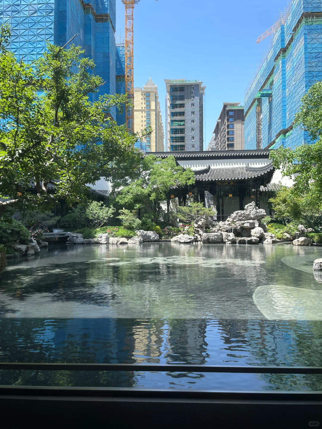 此后，万家灯火终于有属于我的一盏🏮