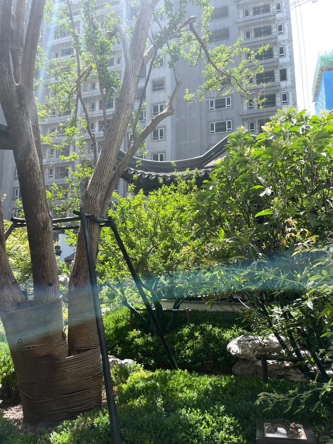 此后，万家灯火终于有属于我的一盏🏮