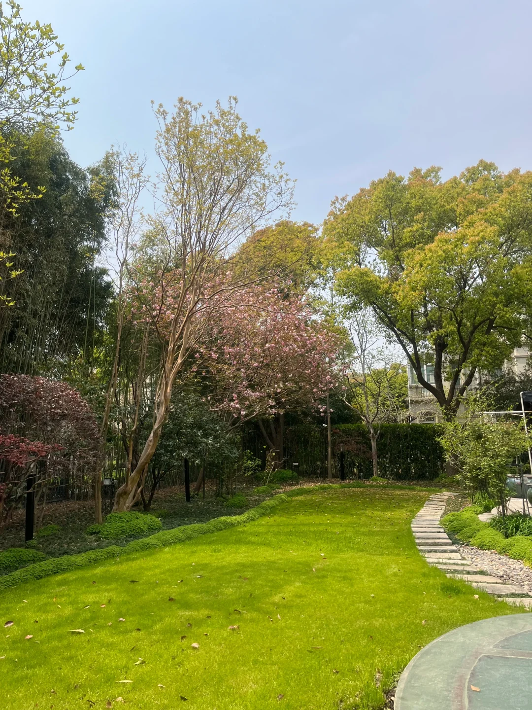 谁懂，近2亩院子种各种树，一年四季不同风景
