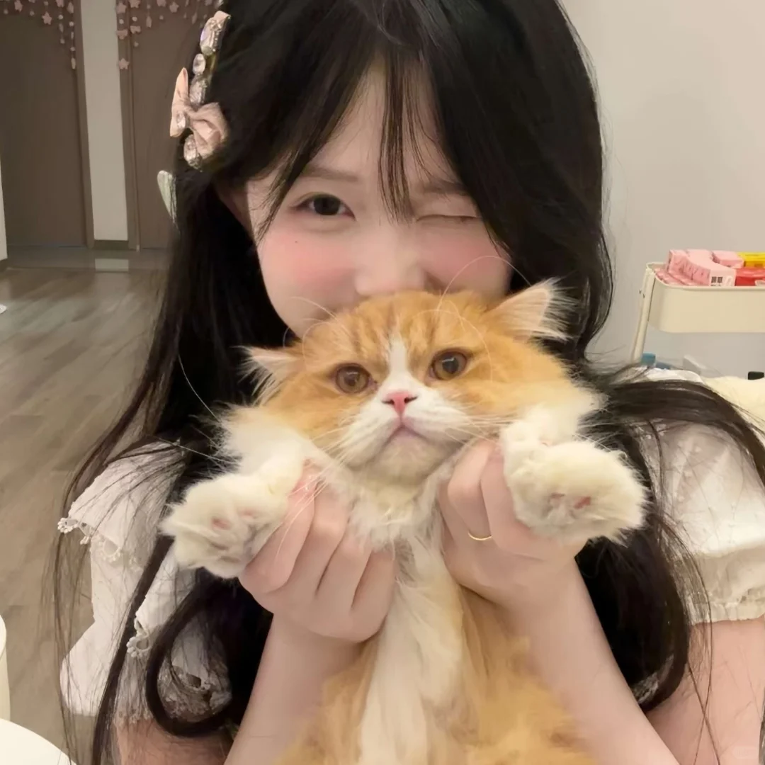 𝙒𝙚𝘾𝙝𝙖𝙩小猫女生头像