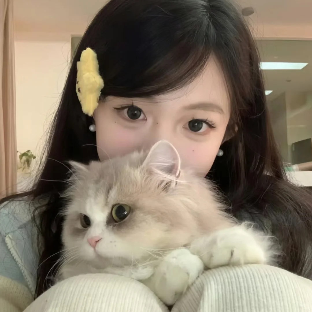𝙒𝙚𝘾𝙝𝙖𝙩小猫女生头像