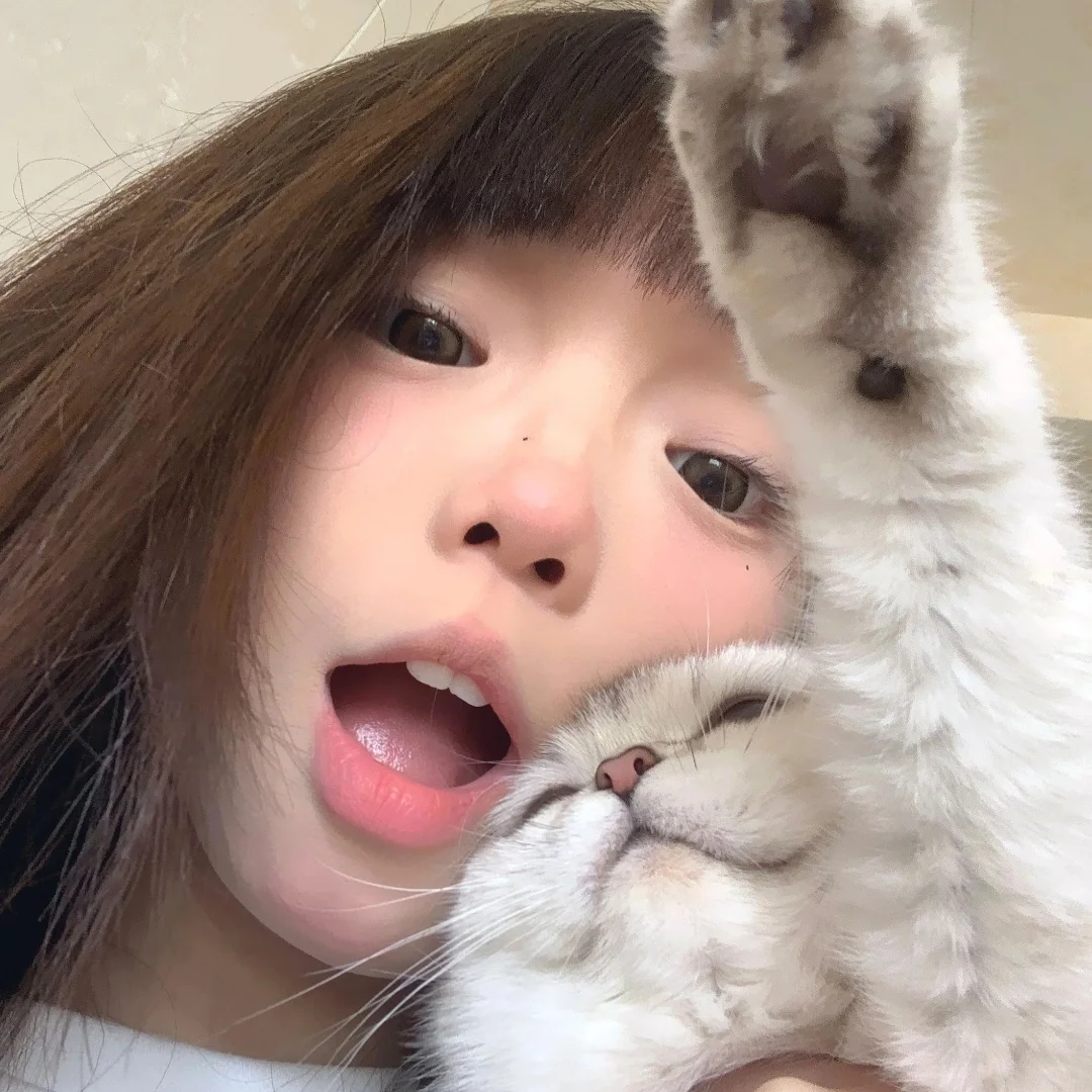 𝙒𝙚𝘾𝙝𝙖𝙩小猫女生头像