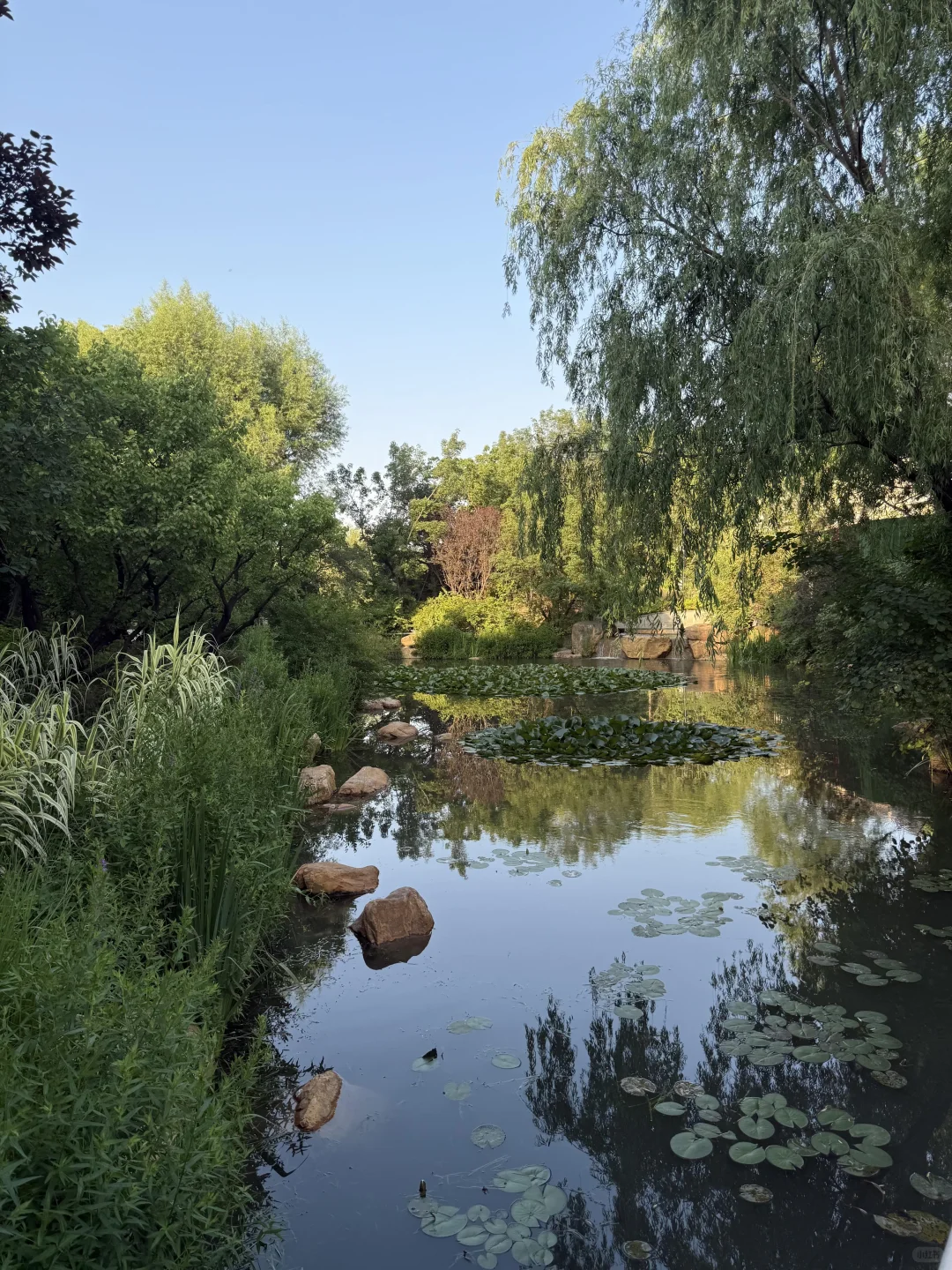 润泽御府｜中国家族的传世独栋大宅🏡