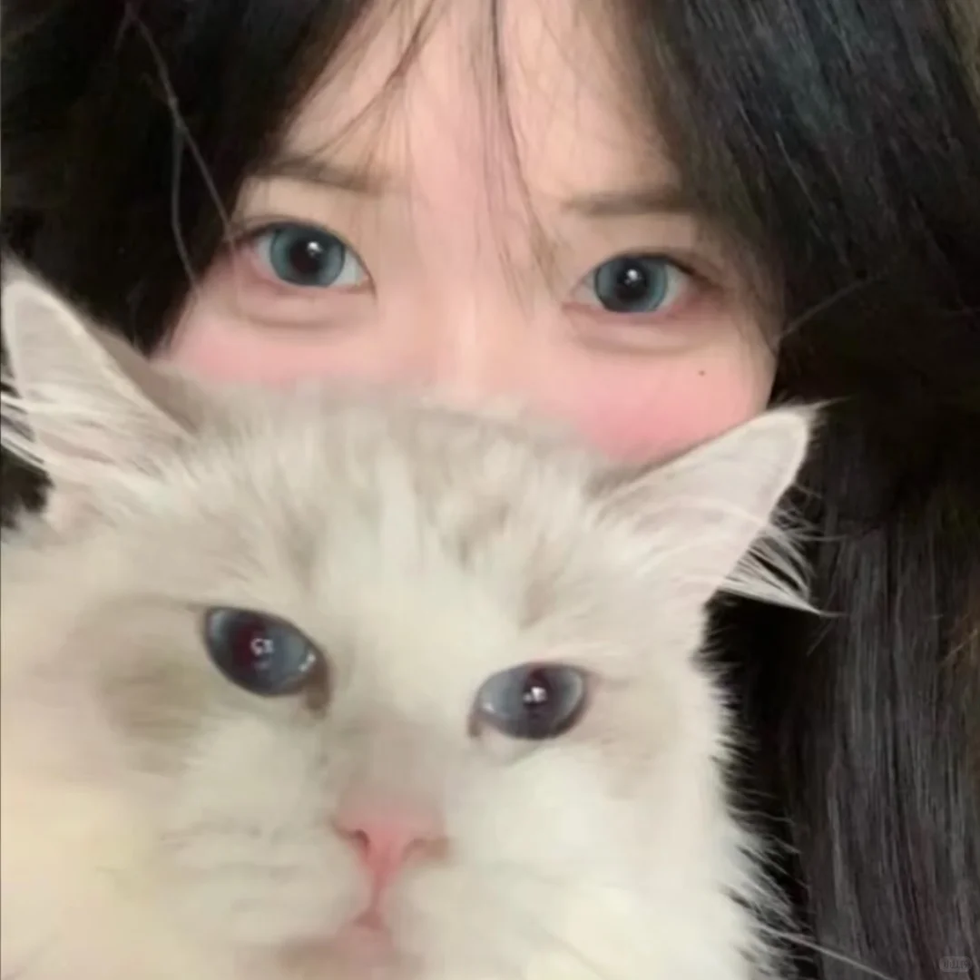 𝙒𝙚𝘾𝙝𝙖𝙩小猫女生头像