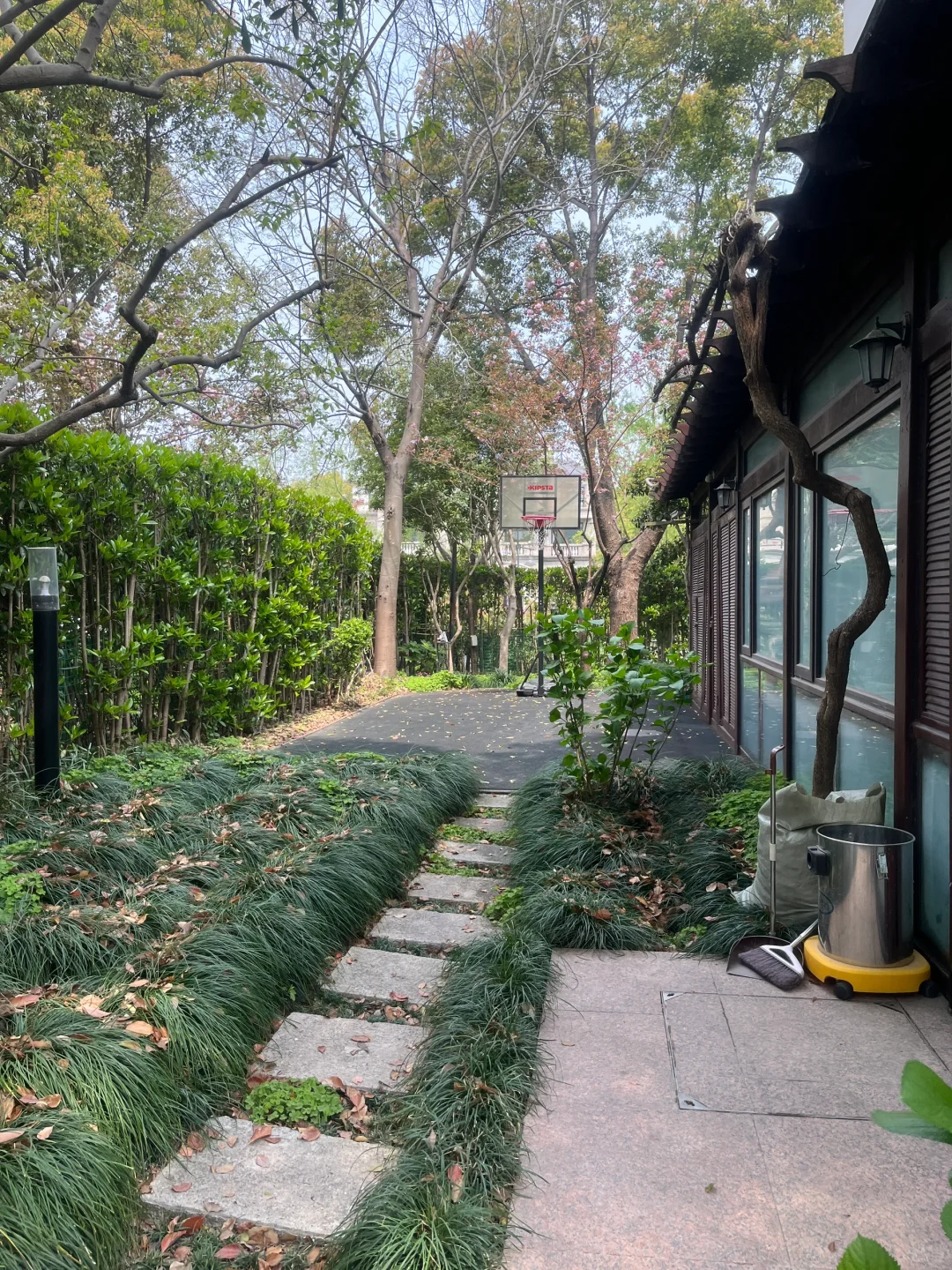 谁懂，近2亩院子种各种树，一年四季不同风景
