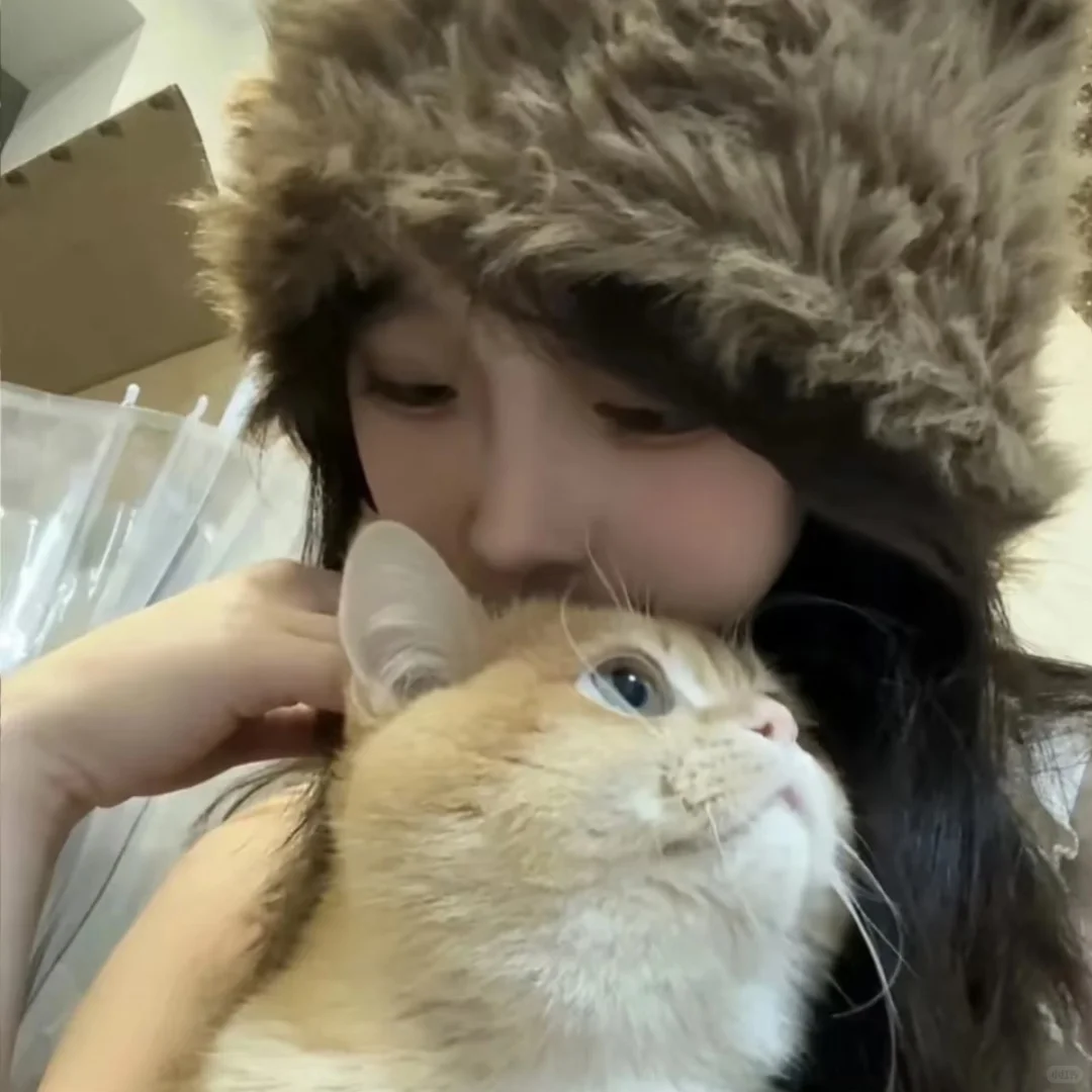 𝙒𝙚𝘾𝙝𝙖𝙩小猫女生头像