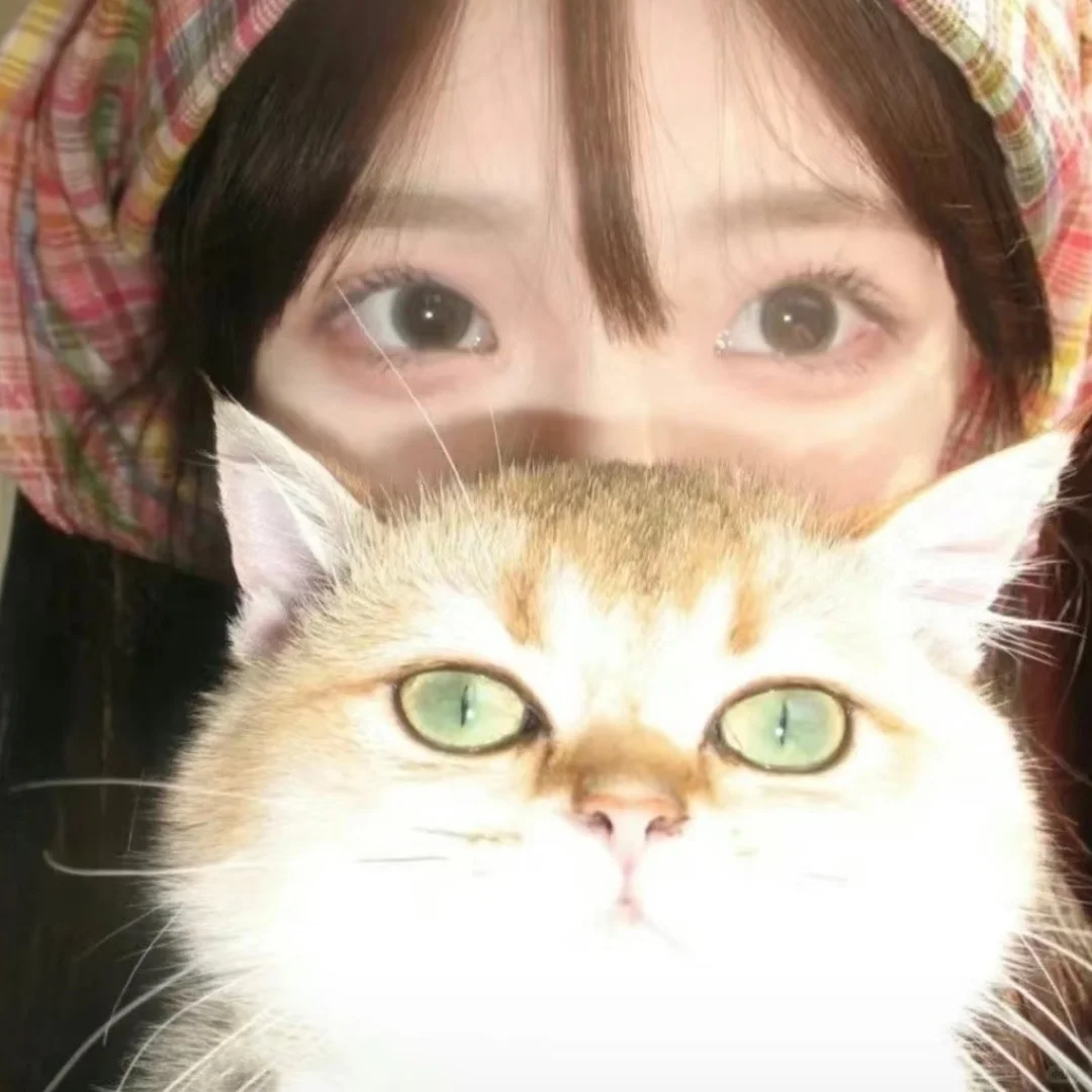 𝙒𝙚𝘾𝙝𝙖𝙩小猫女生头像