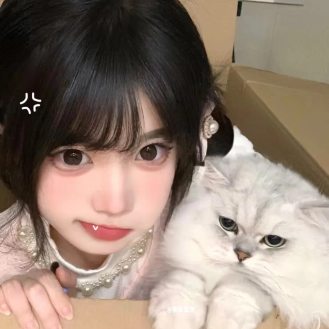 𝙒𝙚𝘾𝙝𝙖𝙩小猫女生头像