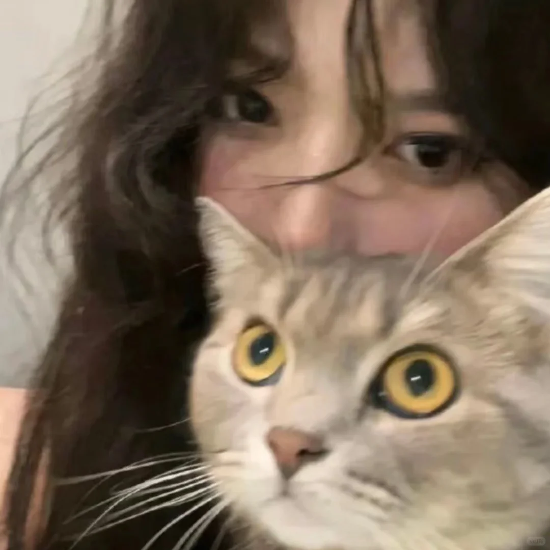 𝙒𝙚𝘾𝙝𝙖𝙩小猫女生头像