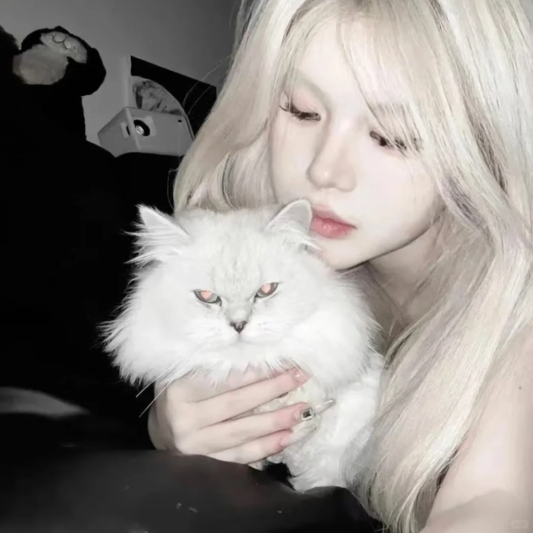 𝙒𝙚𝘾𝙝𝙖𝙩小猫女生头像