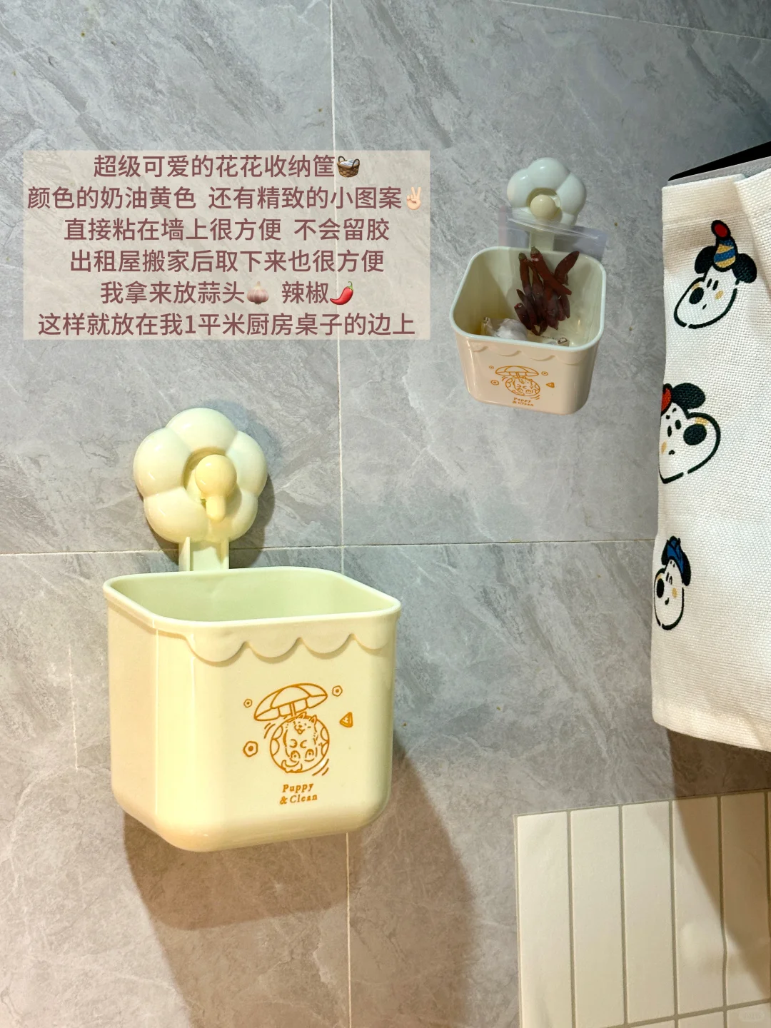 今日宜整理｜低至3r的出租屋收纳好物🧺（附🔗