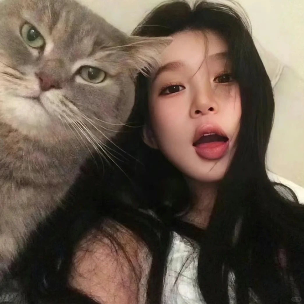 𝙒𝙚𝘾𝙝𝙖𝙩小猫女生头像