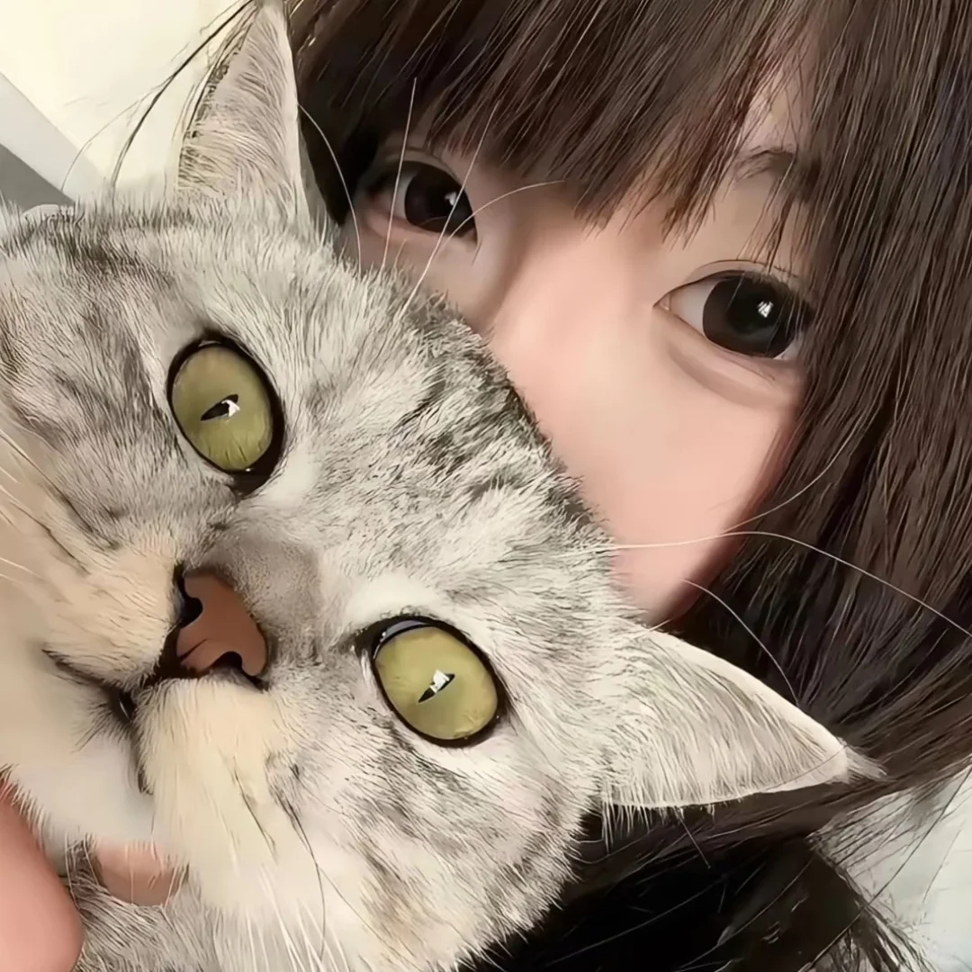𝙒𝙚𝘾𝙝𝙖𝙩小猫女生头像