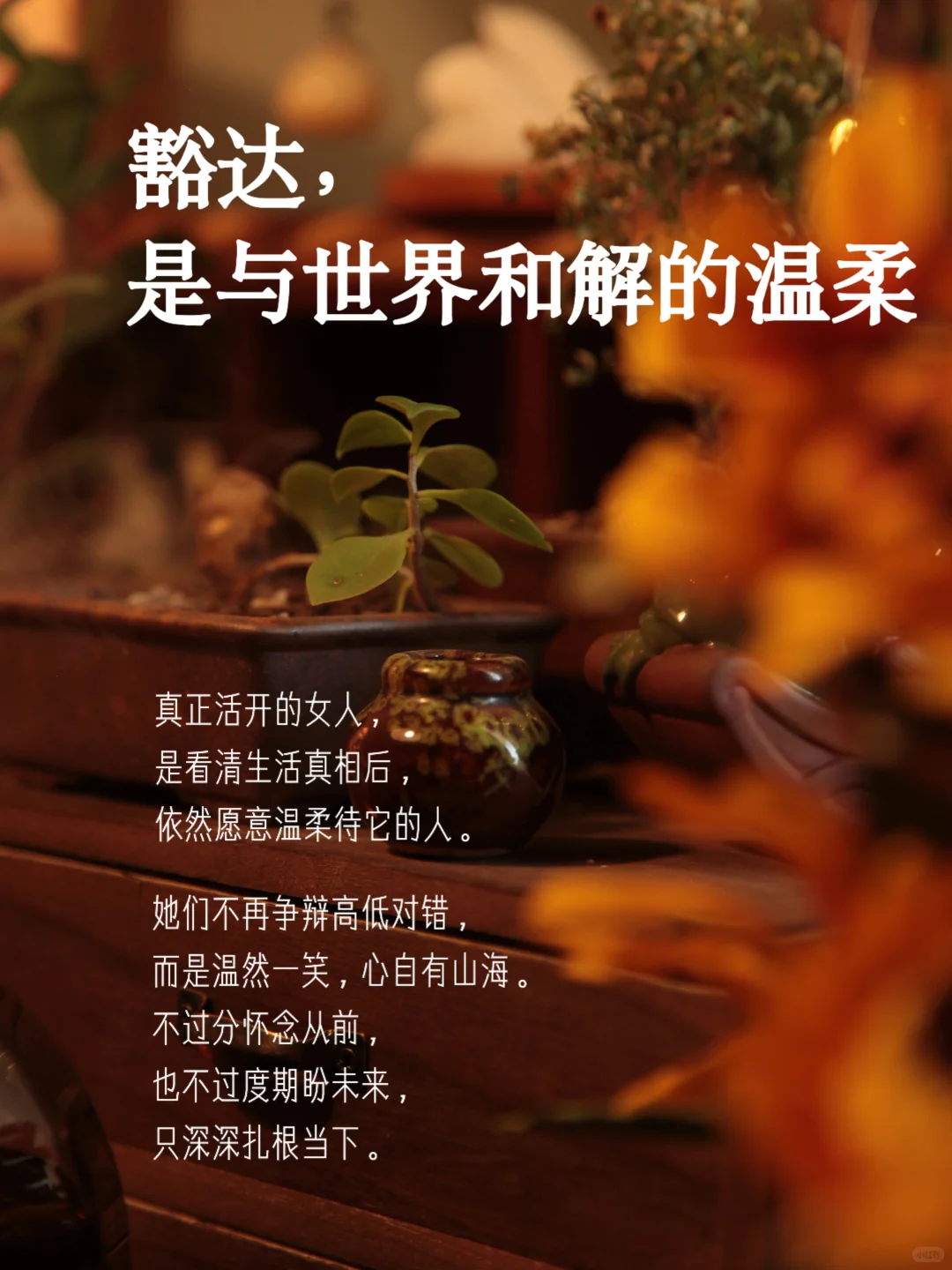 “女人有了风骨，便是人间尤物”