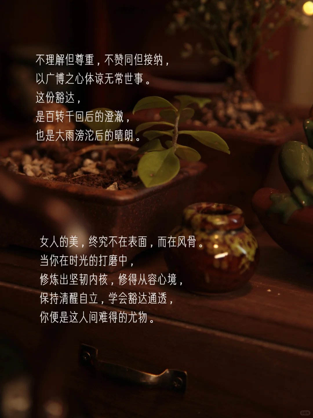 “女人有了风骨，便是人间尤物”