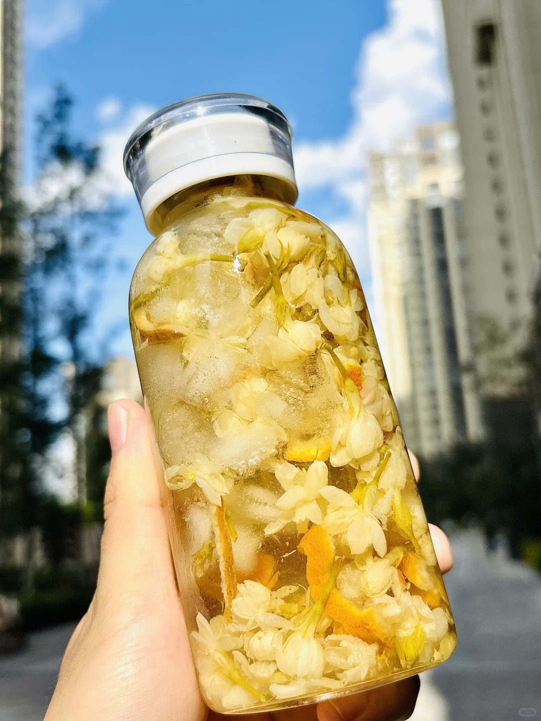 喝出东方尤物体香第一步：排浊