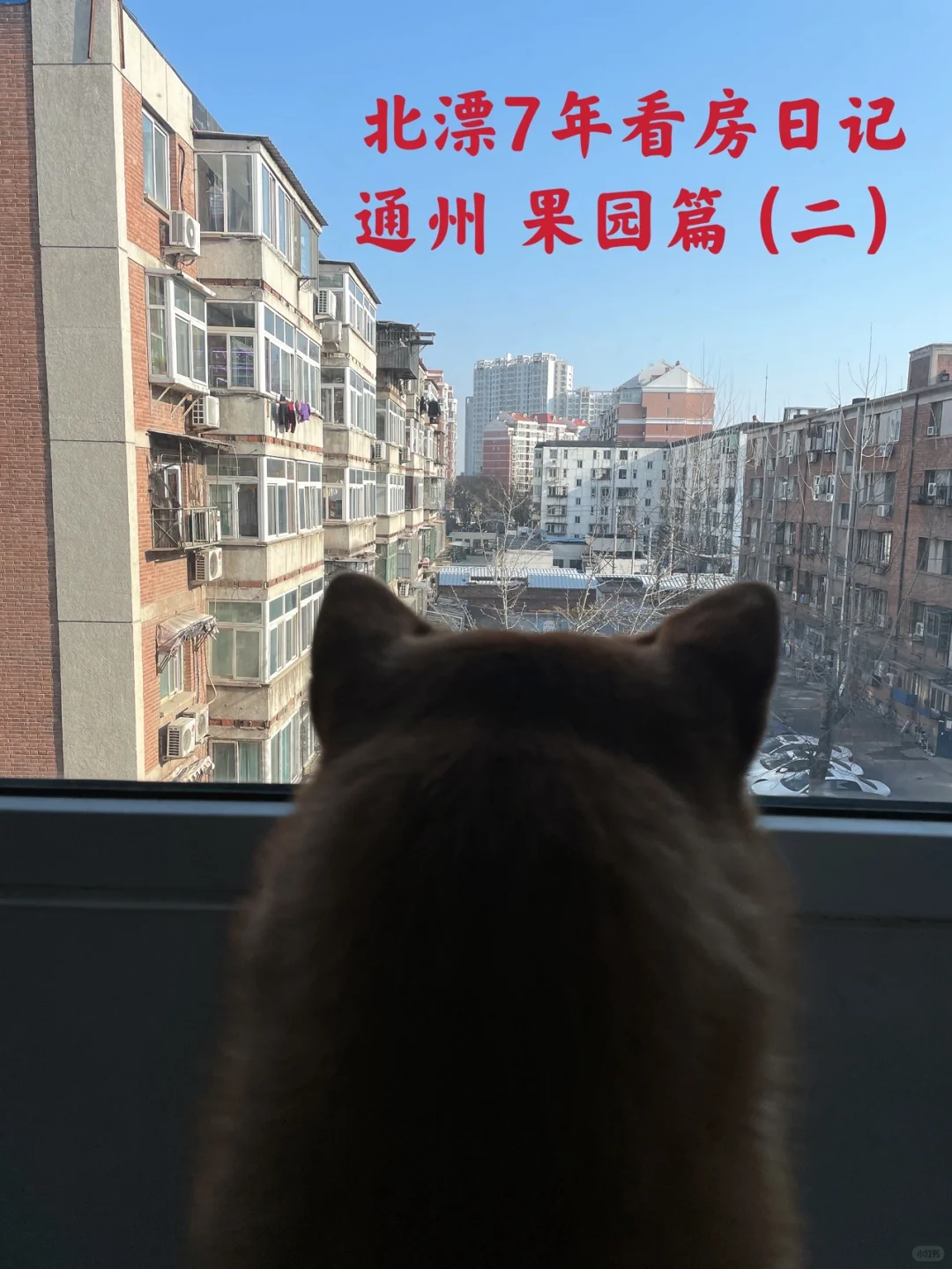 北漂7年买房日记 通州 果园篇（二）