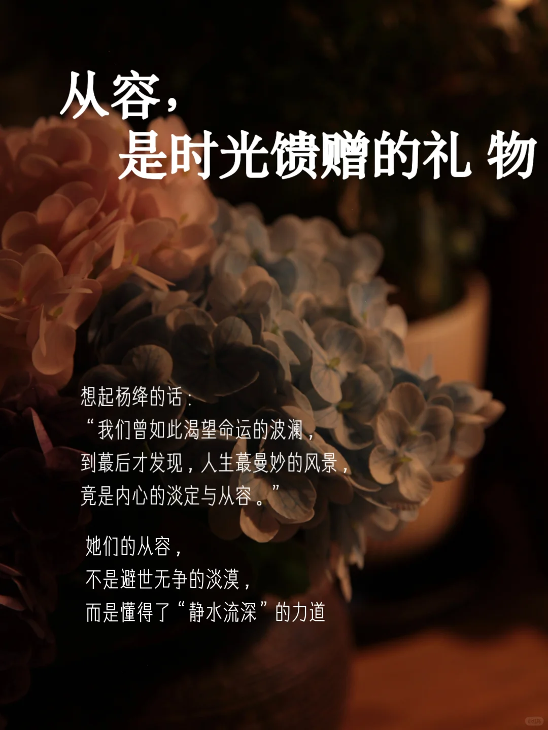 “女人有了风骨，便是人间尤物”