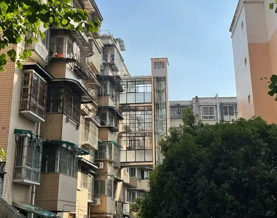 第一批“加装电梯”的老小区业主，大喊后悔