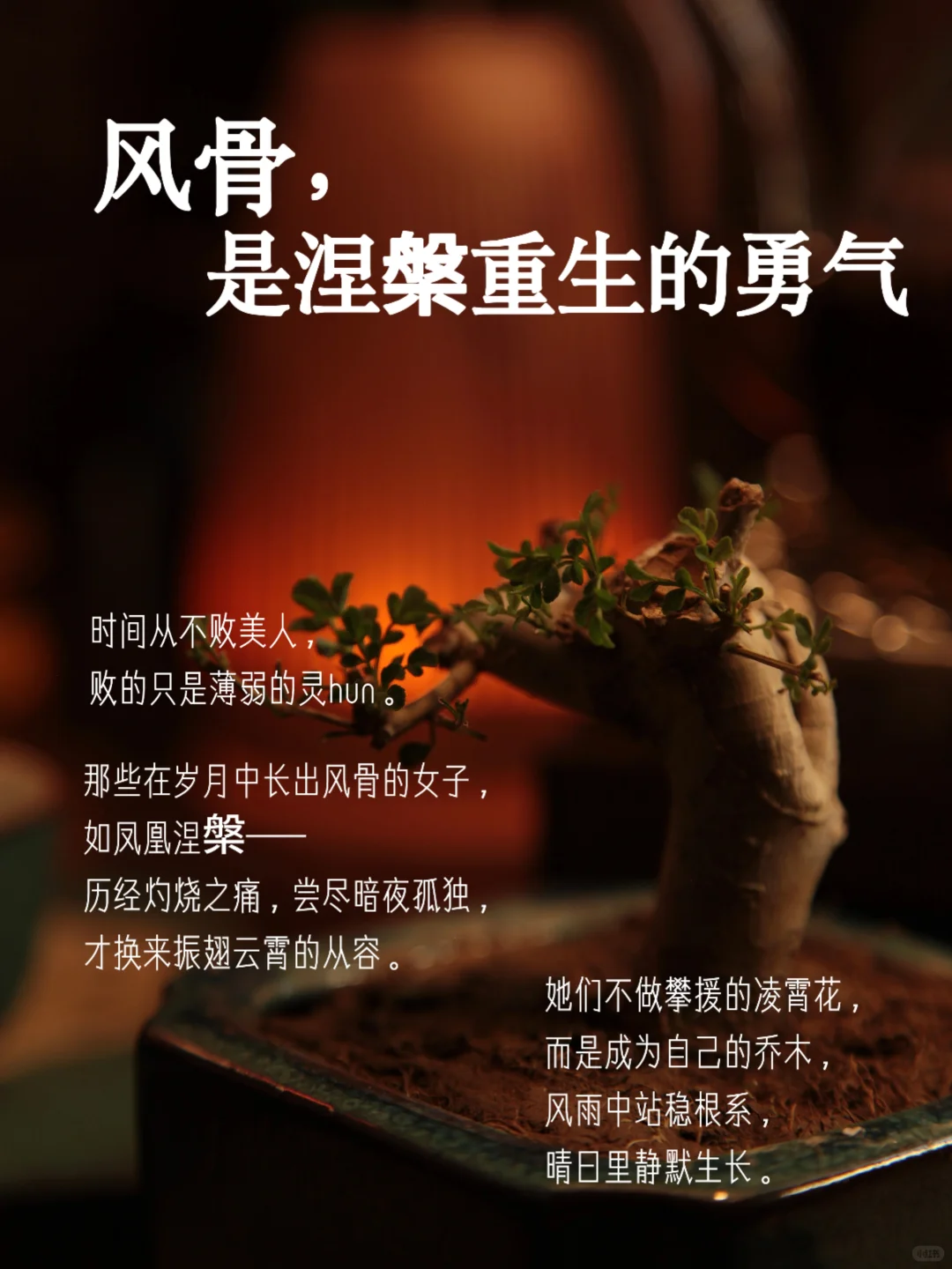 “女人有了风骨，便是人间尤物”
