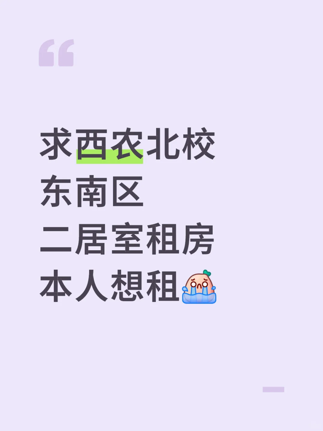 西农租房