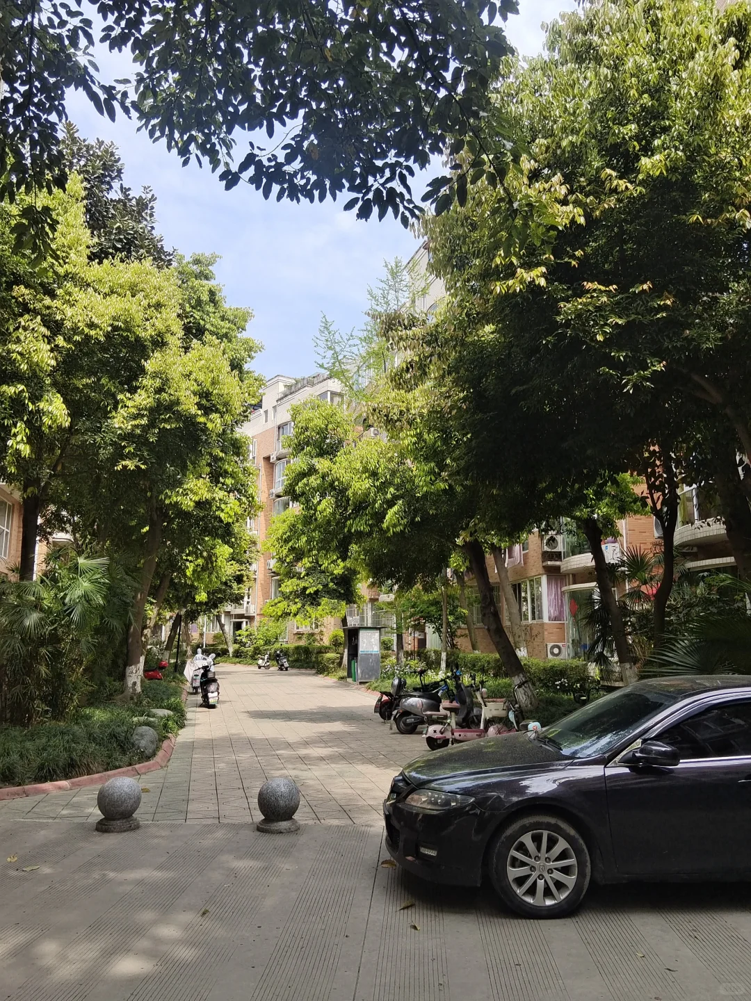 2003年的老洋房小区