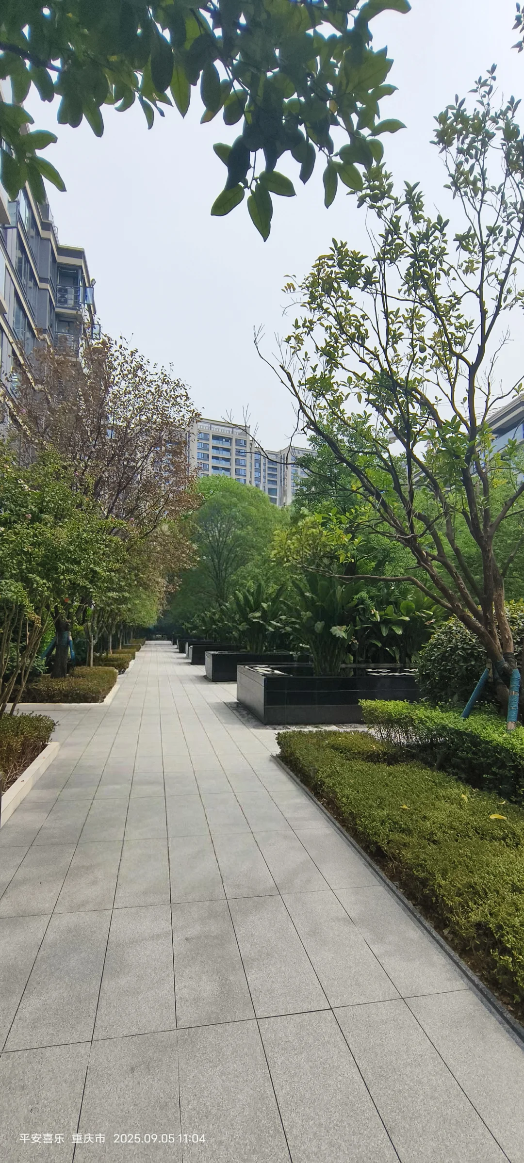 看房日记，九龙坡二手洋房