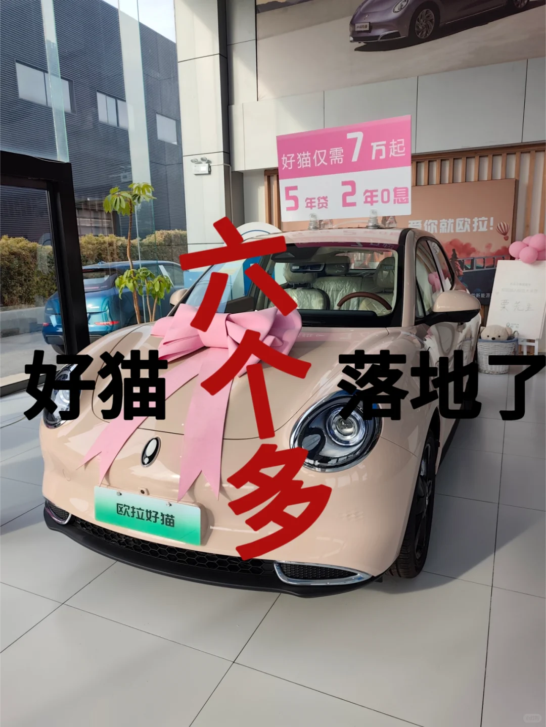 3月欧拉好猫最新政策