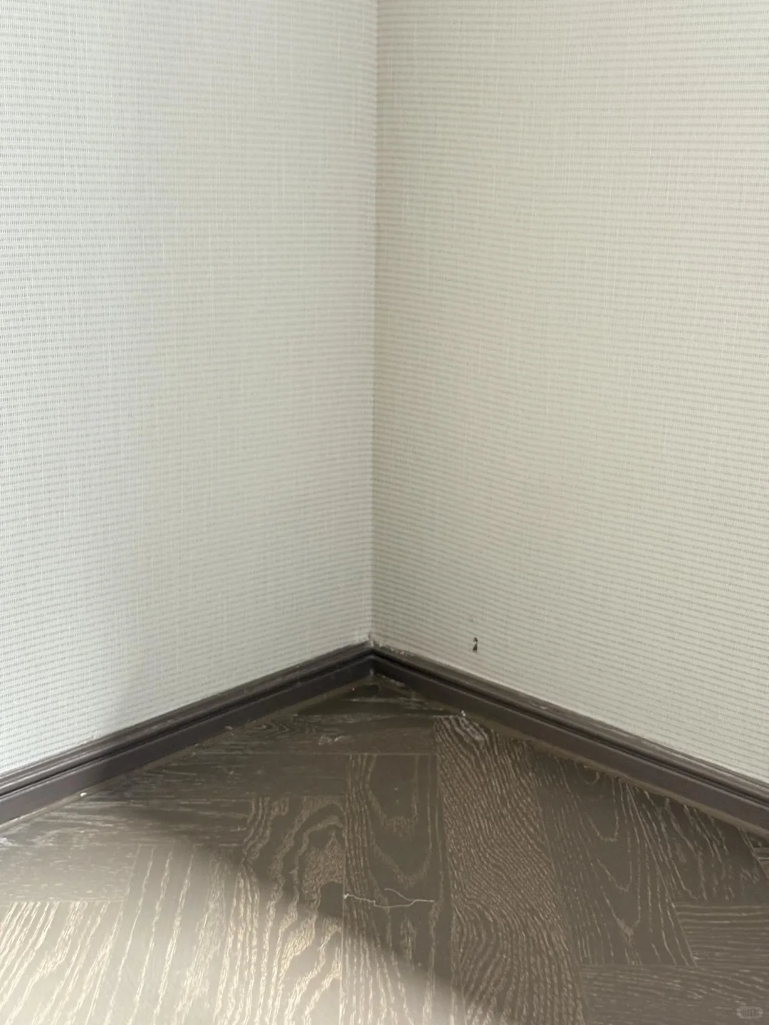 记录新家预看房