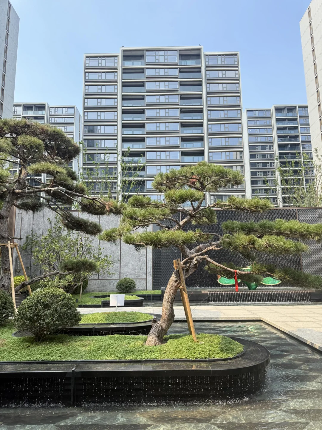 记录新家预看房